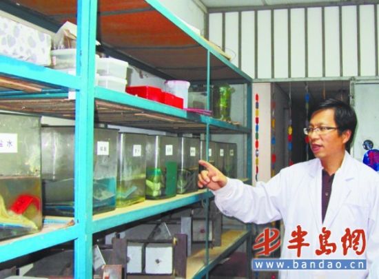 揭秘胶州湾大桥