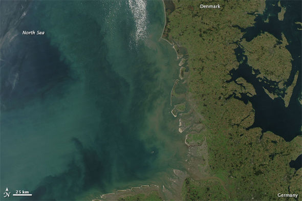 每日卫星照：北海浮现绿色暗影