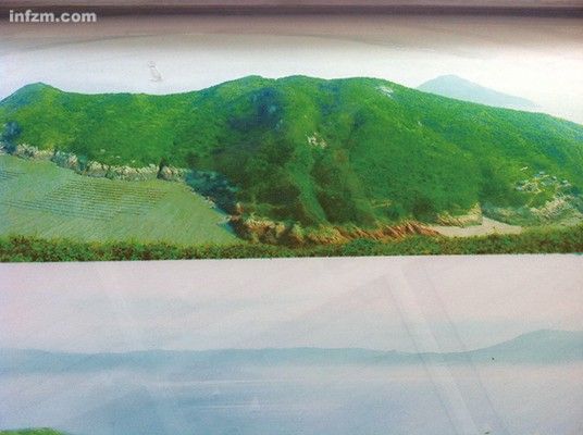 海岛变“核岛” 无伤大雅的生态影响？(组图)