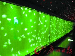 水母世界要来了
