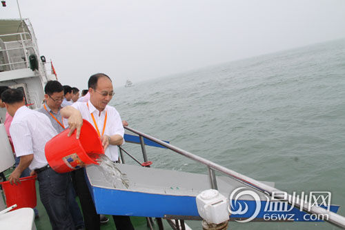 组图：洞头增殖放流5万尾黑鲷促进海洋生态平衡