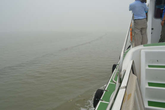天津汉沽蔡家堡海域、距离岸域2海里的海面上发现不明油污带。