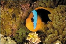 《海洋》里的七情六欲