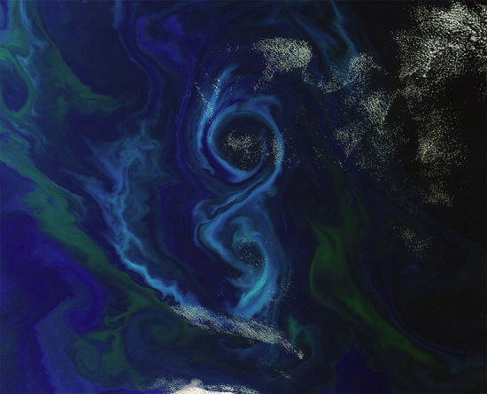 海洋深处富含矿物质的海水被洋流卷起，上升至海面附近，吸引大量浮游生物在此繁殖。从太空看起来，这里的水面上呈现出巨大的蓝绿色图案
