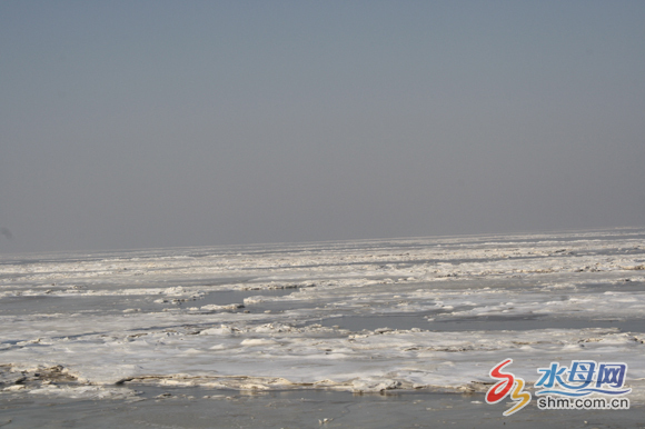 山东烟台莱州湾海冰达12海里 冰层厚35厘米(图)