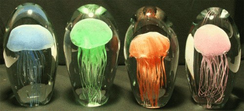 美国“惊奇水母”公司用自然死亡的水母尸体和树脂制作成能够在夜间发光的灯具