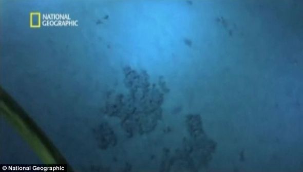 在马里亚纳海沟底部卡梅隆没有发现海床上有生物活动的痕迹