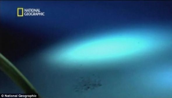 一片荒凉：这是卡梅隆的深潜器在马里亚纳海沟底部拍摄到的画面，可见这里毫无生气