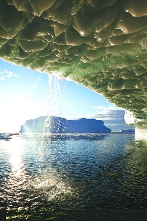 北极海冰范围持续减小诱发冬季极端降雪和严寒