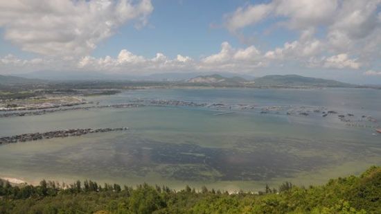 陵水黎族自治县新村港浅海区黑色部分就是一大片海草床