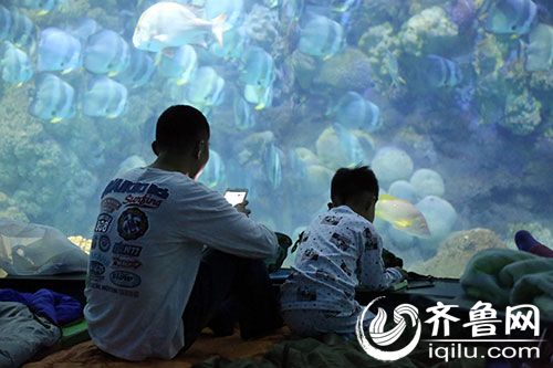 父子睡前交流