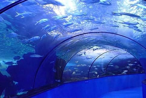 开封东京极地海洋馆：开启极地海洋梦幻之旅