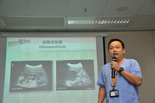李富康指胎儿已没有生命迹象。（图：香港《星岛日报》网站）