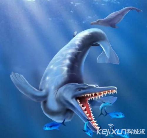 南极发现4900万年最古老古鲸化石