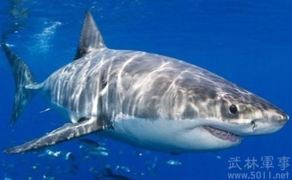 史前最凶猛的海洋生物巨<a  data-cke-saved-href=