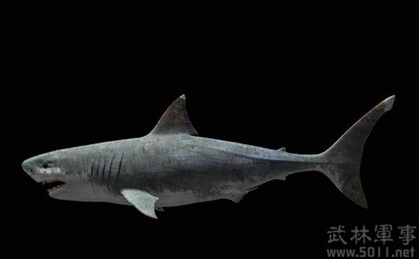 史前最凶猛的海洋生物巨<a  data-cke-saved-href=