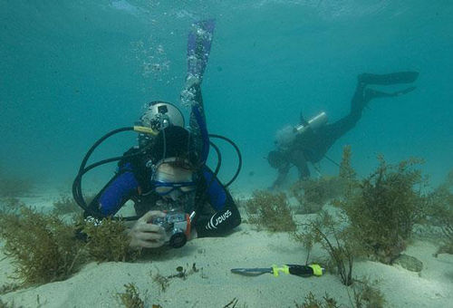 科学家在探索澳大利亚大堡礁附近海域时发现了惊人的新物种