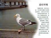 适应环境