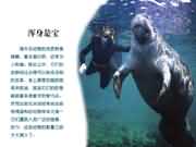 海牛浑身都是宝