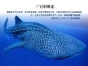 广泛的用途