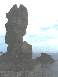 t13.GIF (23758 bytes)