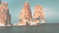 t14.GIF (21481 bytes)