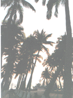t7.GIF (18643 bytes)