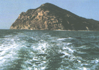 t11.GIF (25383 bytes)