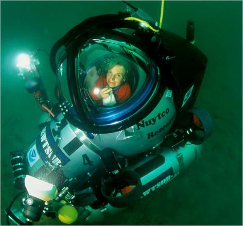 奇妙海洋生物照片：海百合