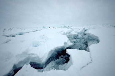 极地冒险家称北极4年后将面临无雪夏天(组图)