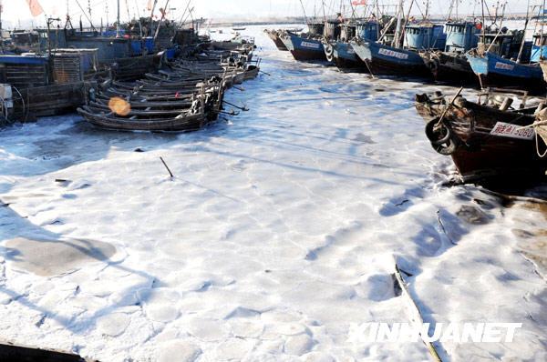 1月13日，连云港沿海渔船被大面积海冰冻住。