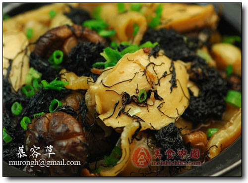 鲍鱼炖花胶