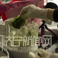 圣诞海鲜寿司的做法图解3