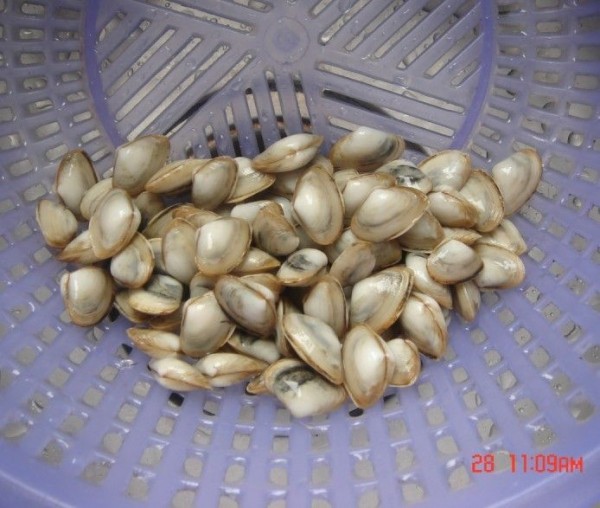 海鲜小炒eE.jpg
