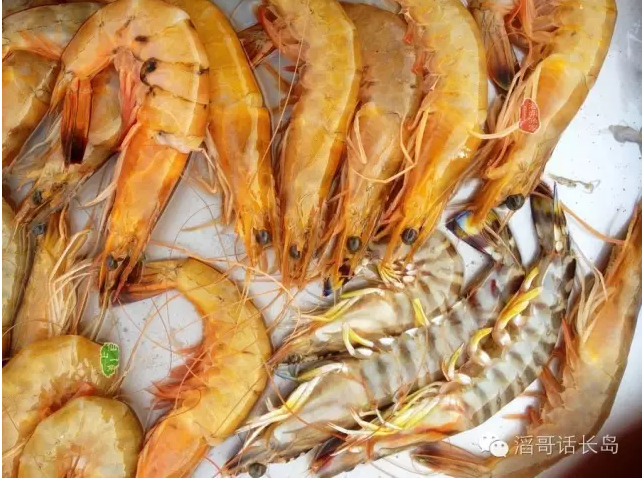 渤海湾大对虾还有两宗表弟们——黄哨子虾,斑马虾