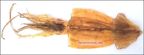 美食中国美食图片·饮食健康·食物档案·鱿鱼营养价值剖析 - meishichina.com
