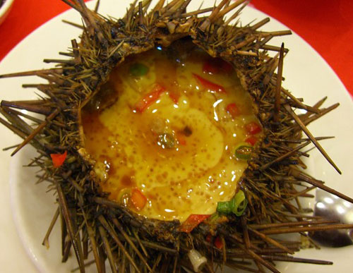 芙蓉蒸海胆 - 海南海鲜美食海胆的营养及药用功能