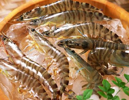 正确食用海鲜的方法