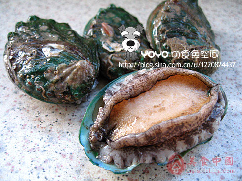 阿二鲍鱼