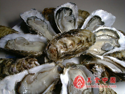 牡蛎的营养价值与做法