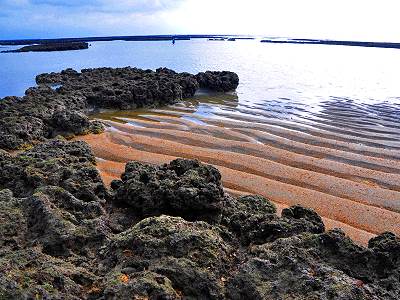 见证台湾西部岩岸变沙岸 千年藻礁演进史