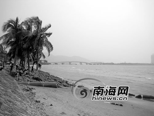 三亚湾沿途植被破坏严重 沙土不断被侵蚀
