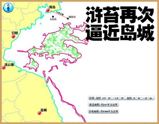 6月15日浒苔综合分布图。国家海洋局北海分局供图