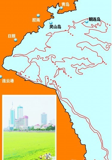 浒苔，青岛海域，夏季装修，健康环保，青岛