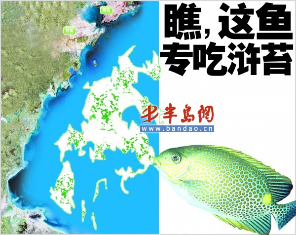 点击浏览下一张