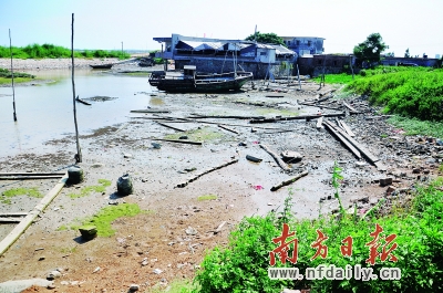 茂名电白县陈村海水入侵监测点旁边，枯黄土地已经荒废。
