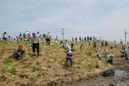 日本地震灾区用废墟建造人工丘植树防海啸