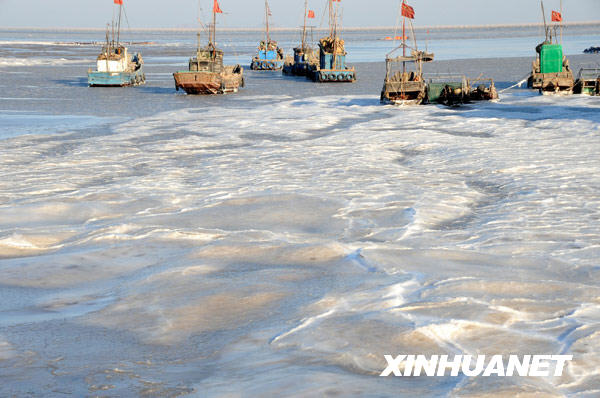 1月13日，连云港沿海渔船被大面积海冰冻住。