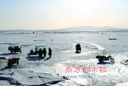 半个渤海结冰 冰层最厚达60厘米