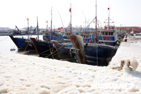 3月9日，大连市旅顺口区袁家沟渔港的堤坝上堆满了涌上岸的流冰。